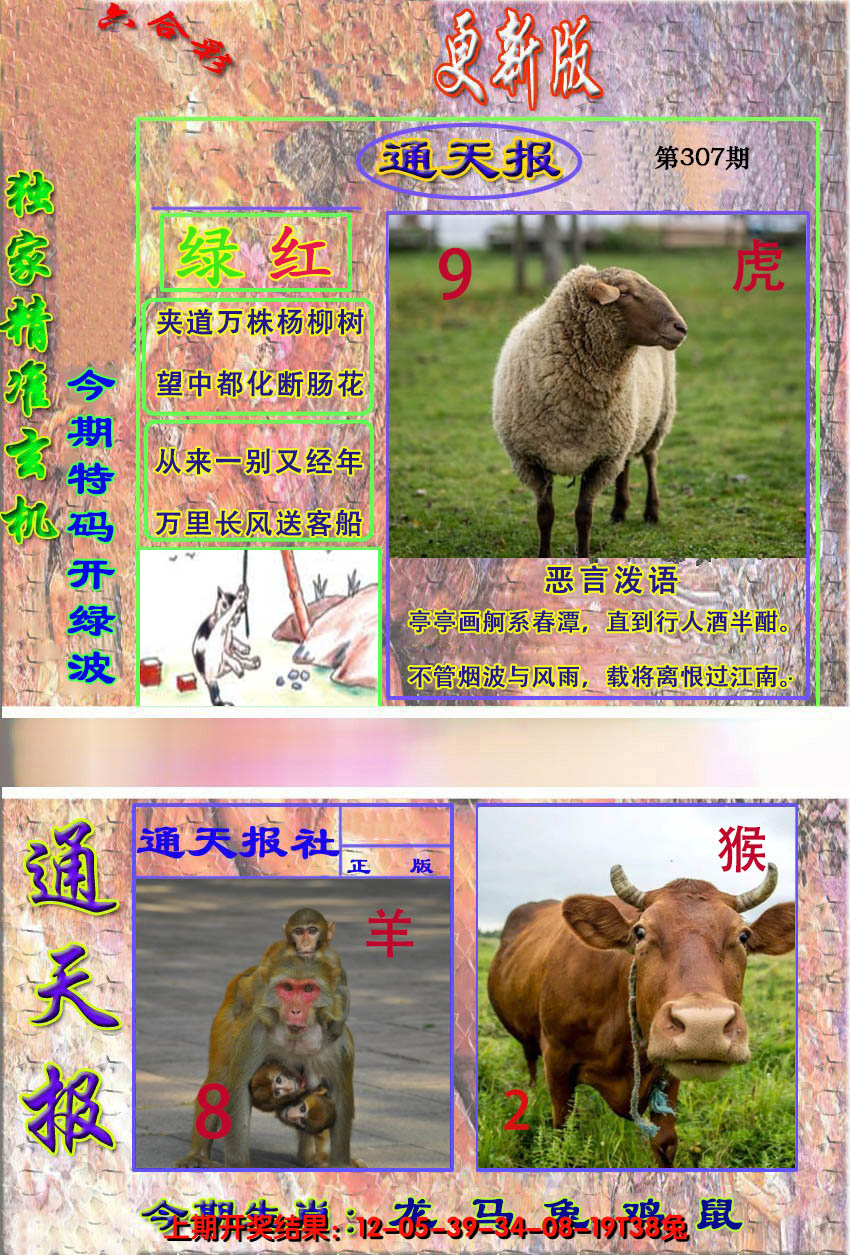2024307期新通报