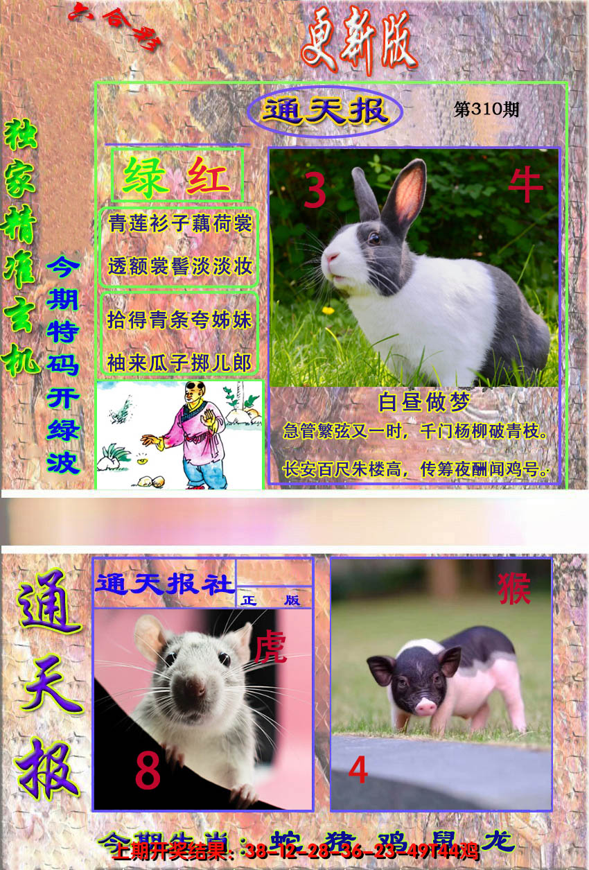 2024310期新通报