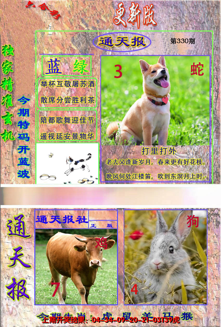 2024330期新通报
