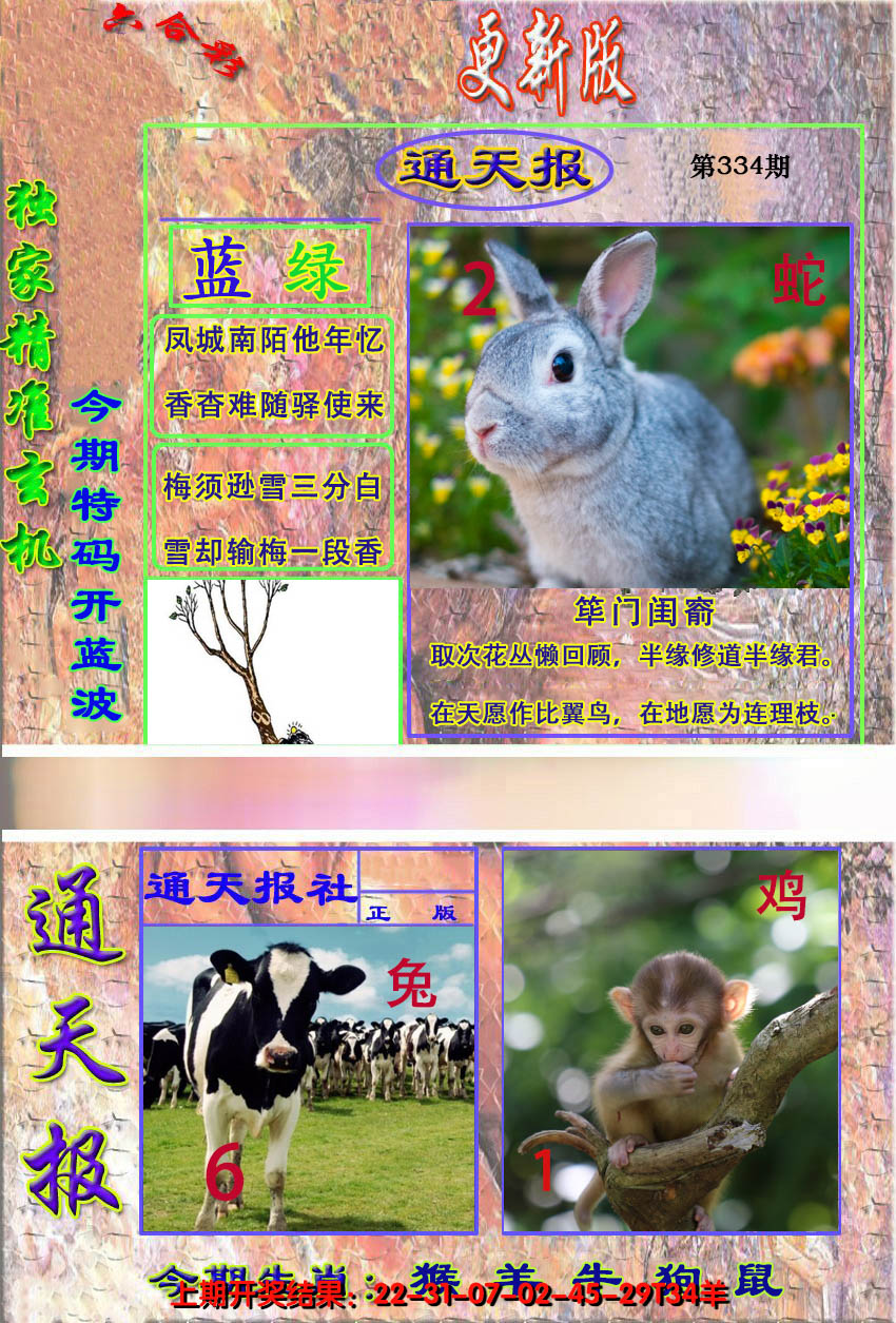 2024334期新通报