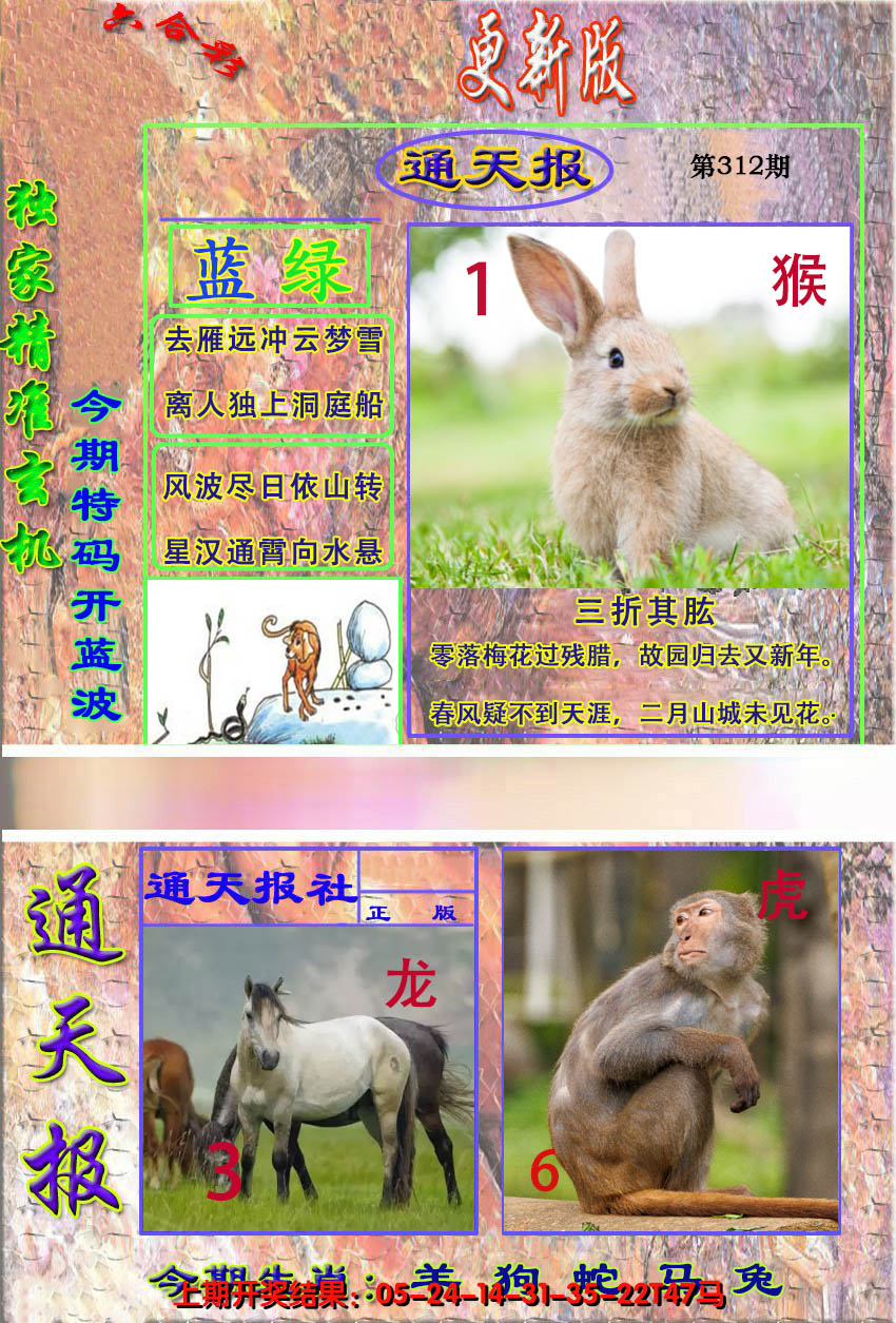 2024312期新通报
