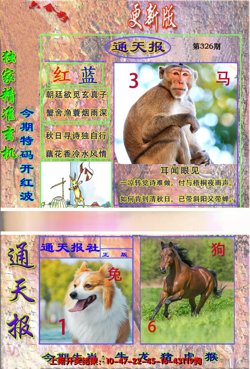2024326期新通报