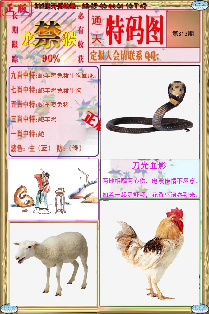 2024313期特码图