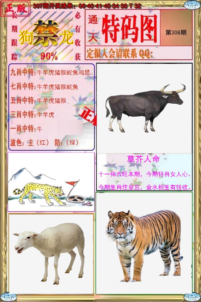 2024308期特码图