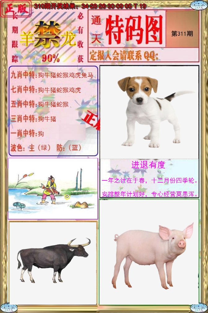 2024311期特码图