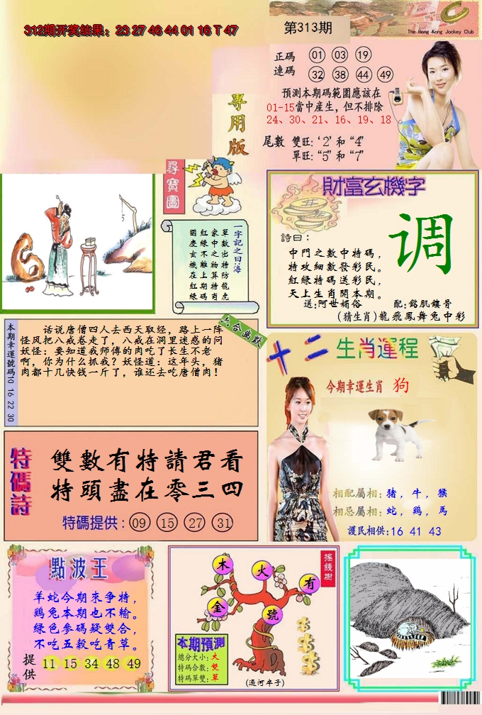 2024313期九龍专用版(推荐)