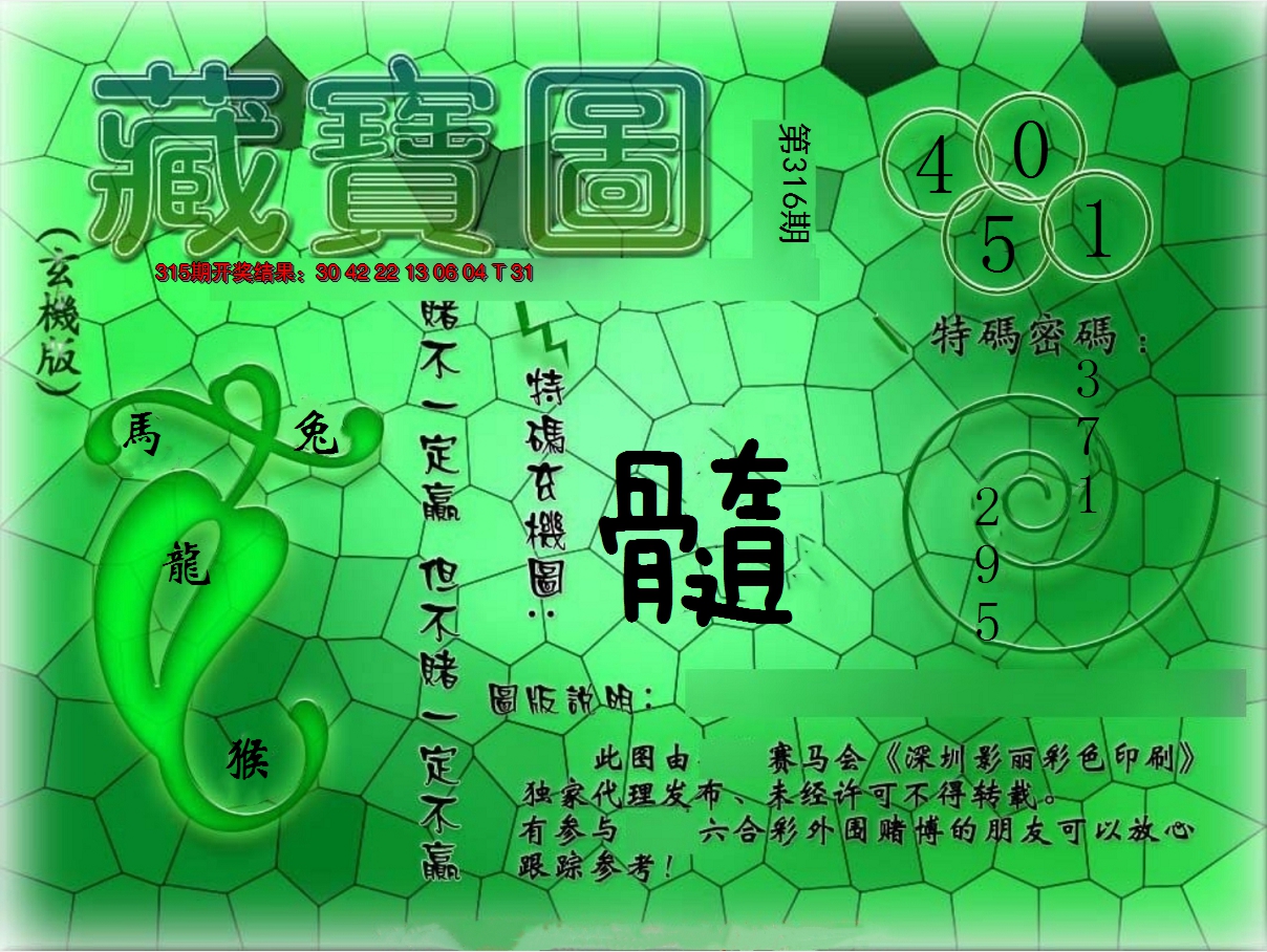 2024316期九龍玄机报