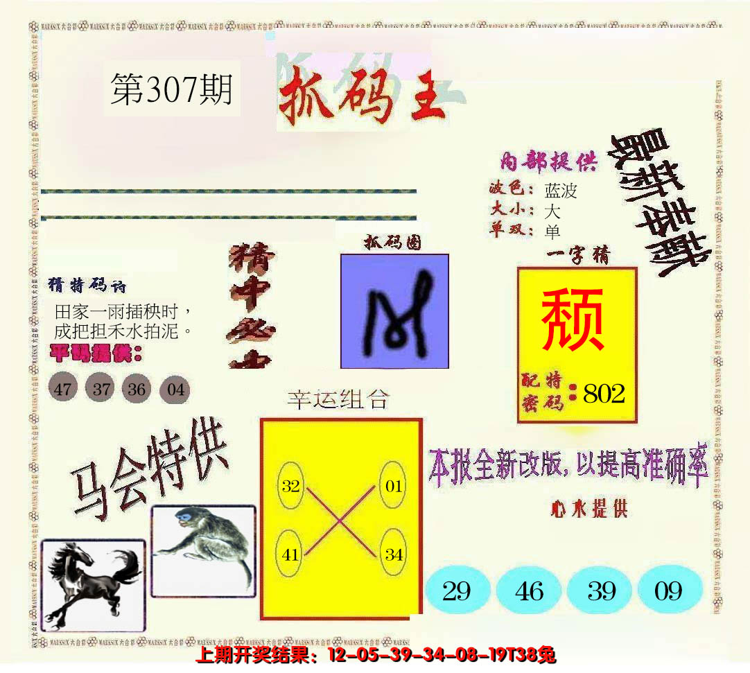 2024307期新抓码王