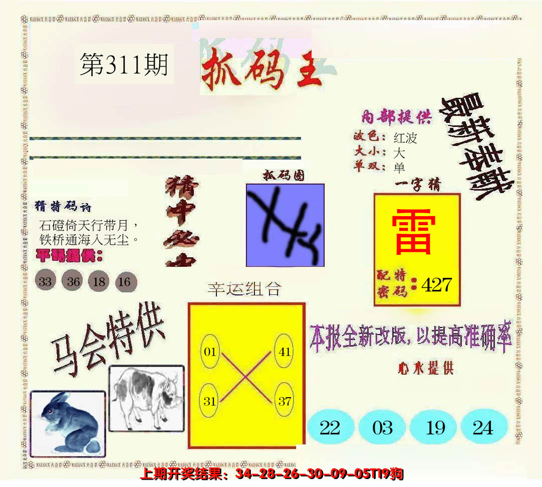 2024311期新抓码王