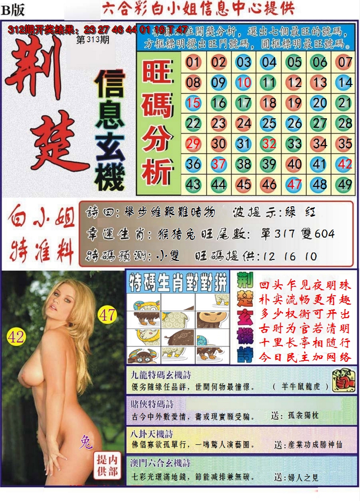 2024313期荆楚信息玄机B