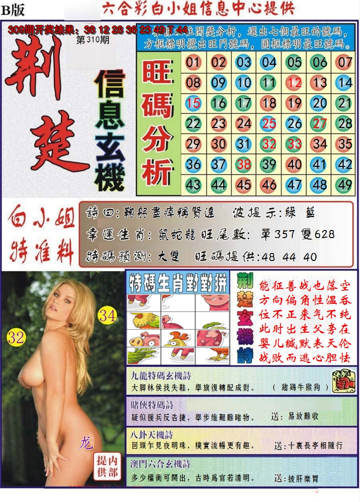 2024310期荆楚信息玄机B