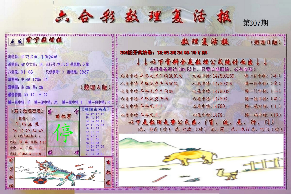 2024307期数理复活报