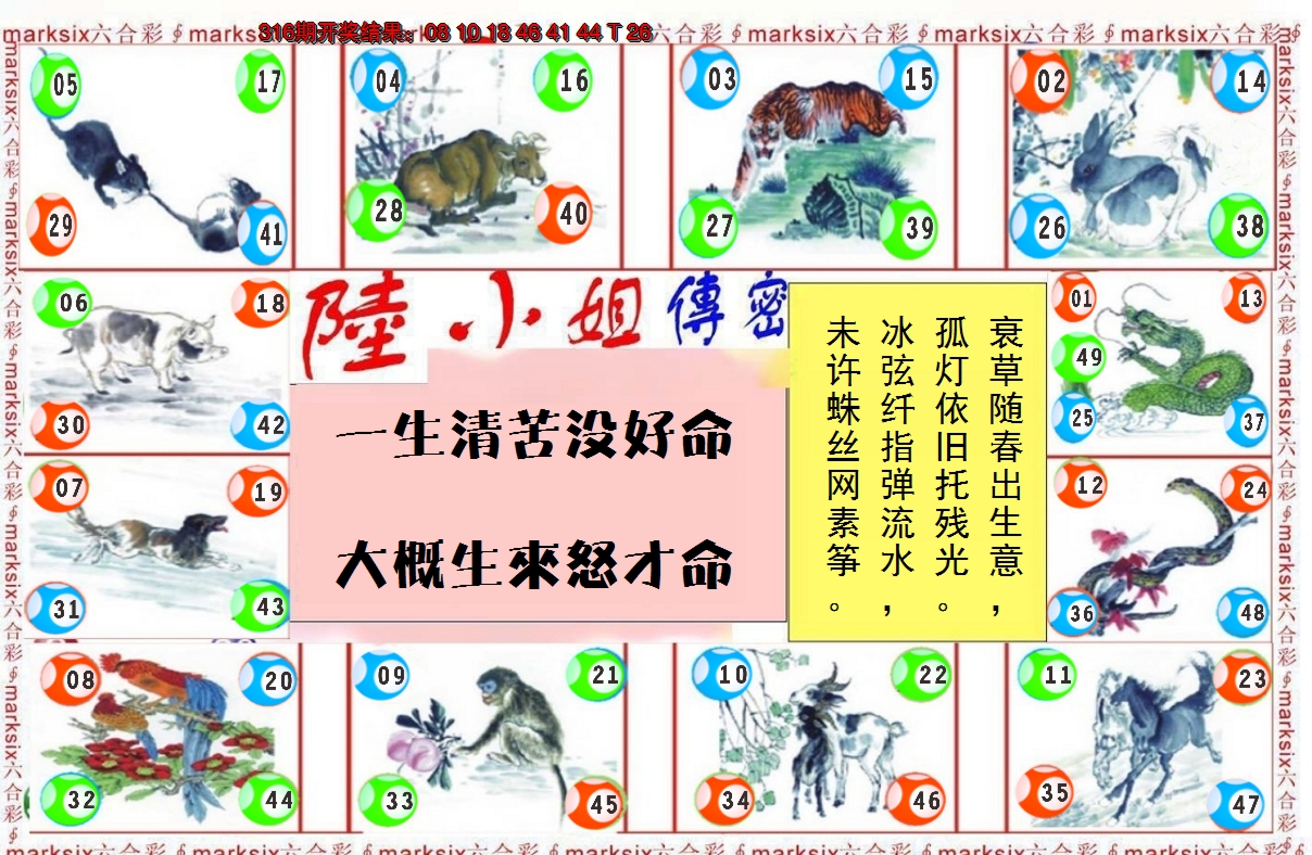 2024317期陆小姐传密B