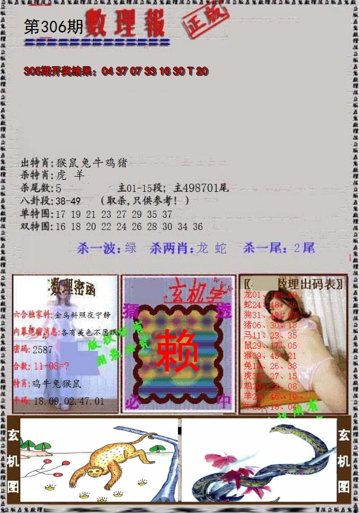 2024306期数理报