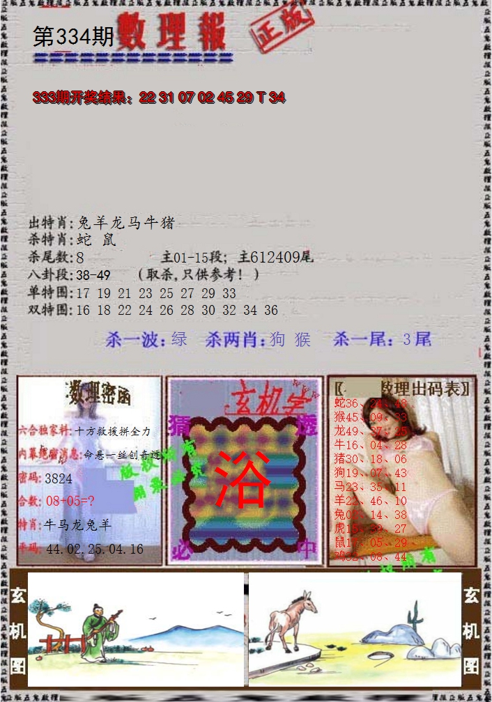 2024334期数理报