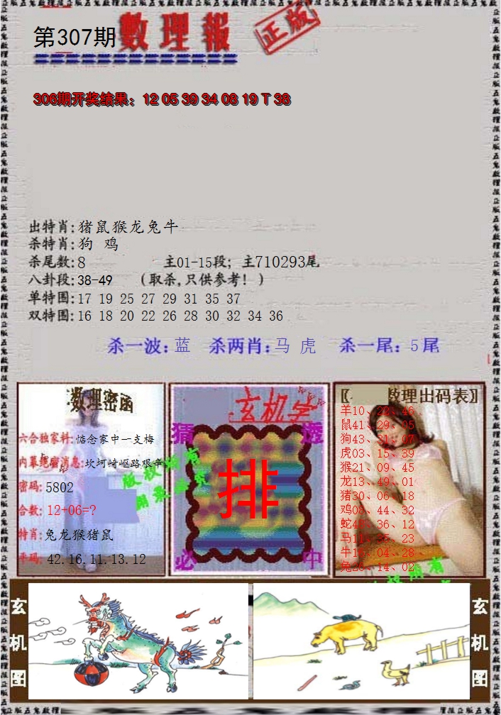 2024307期数理报