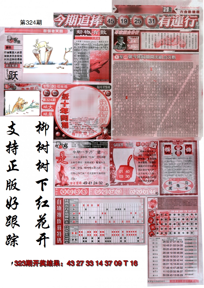 2024324期新六合精选B