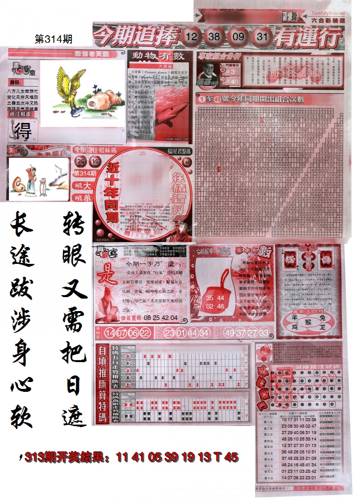 2024314期新六合精选B