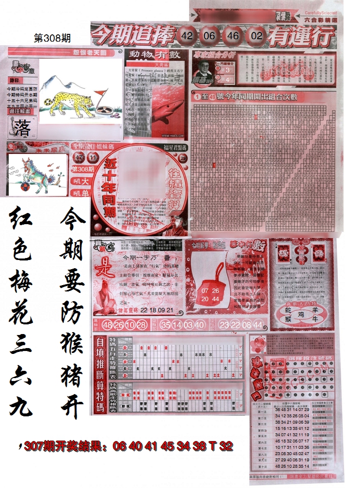 2024308期新六合精选B