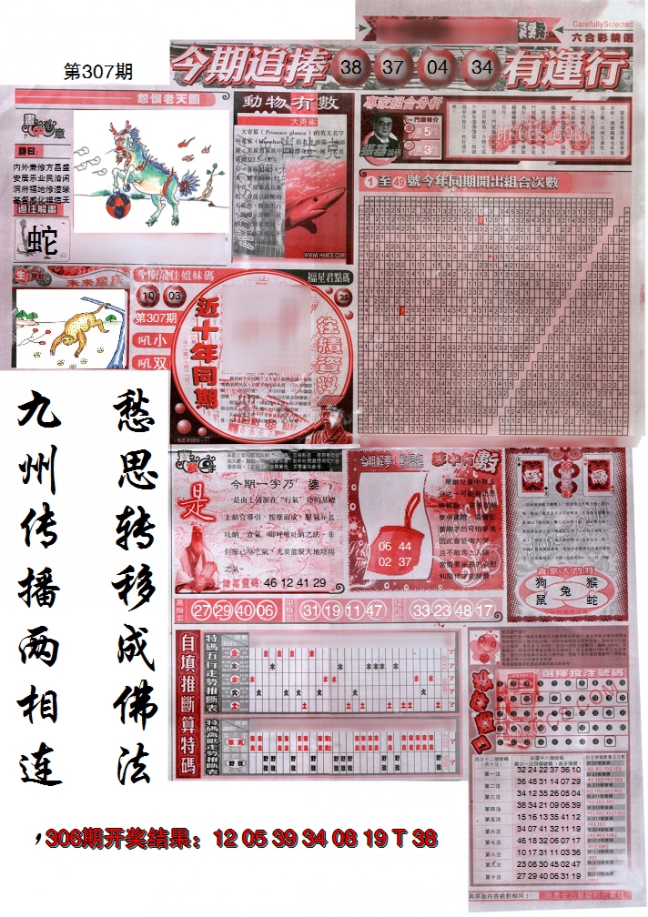 2024307期新六合精选B