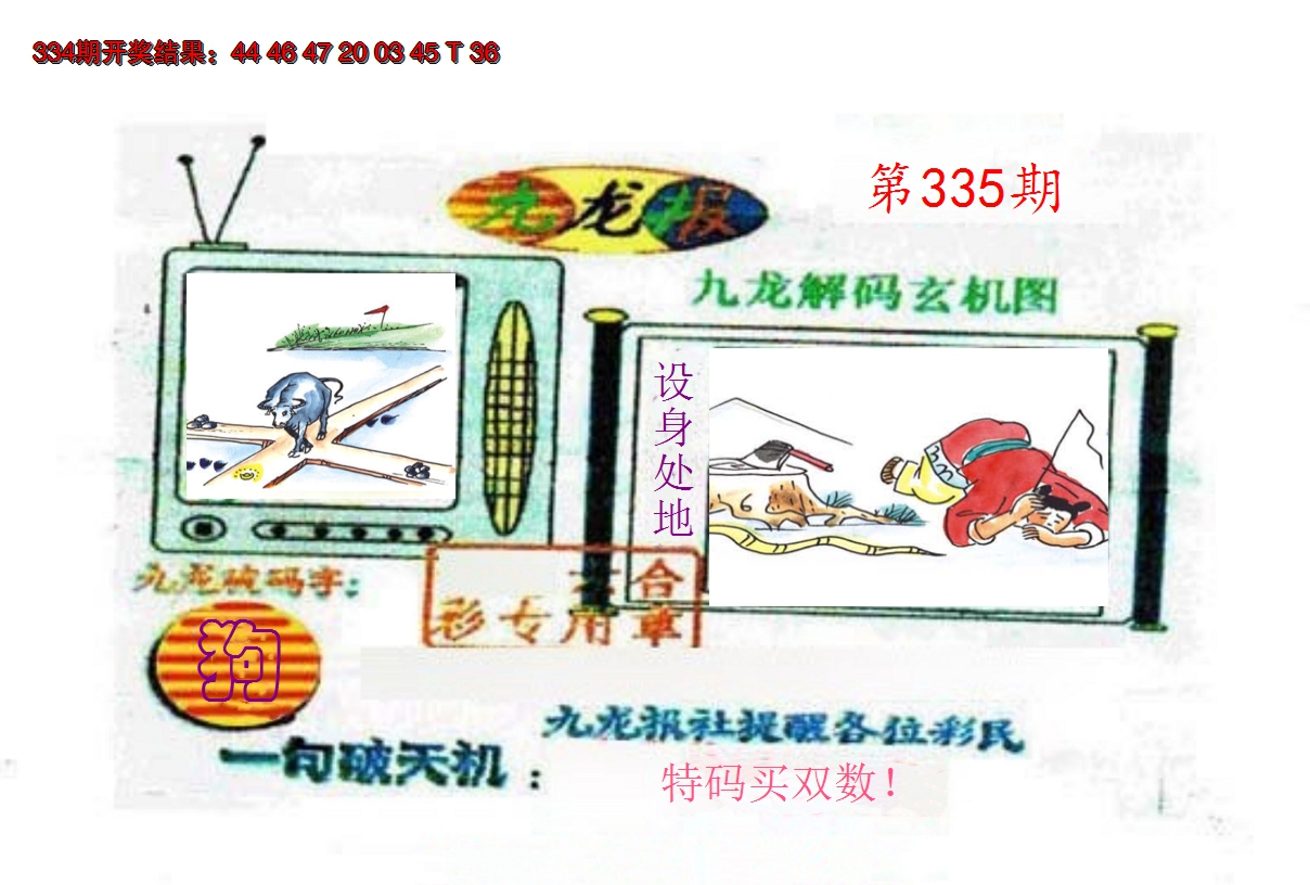 2024335期九龙报