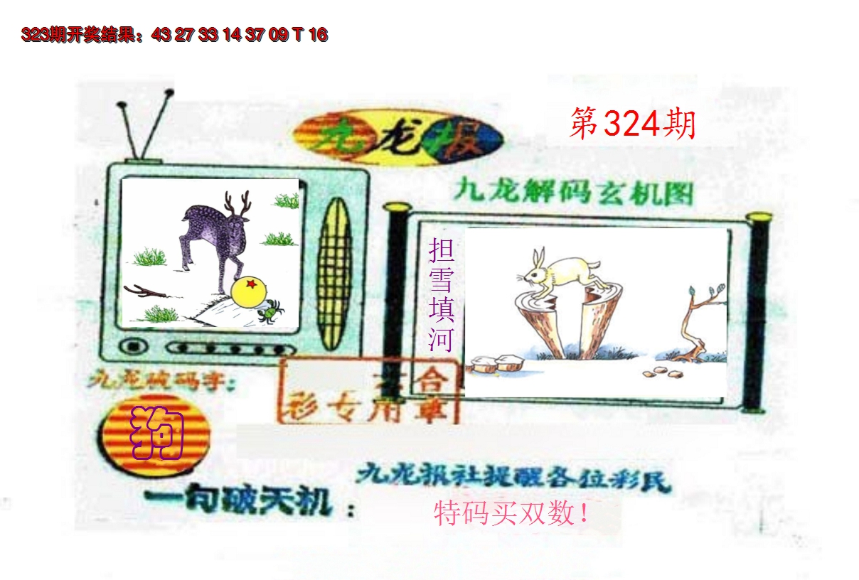 2024324期九龙报