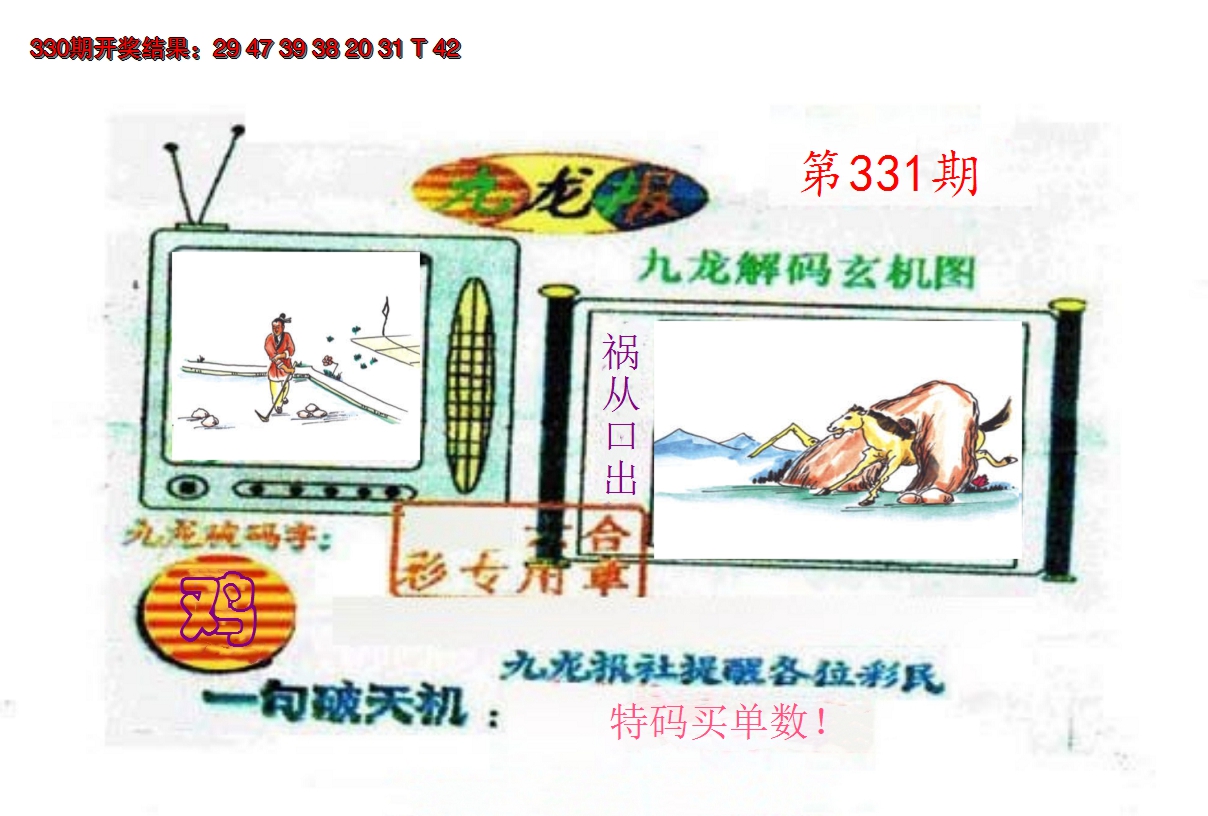 2024331期九龙报