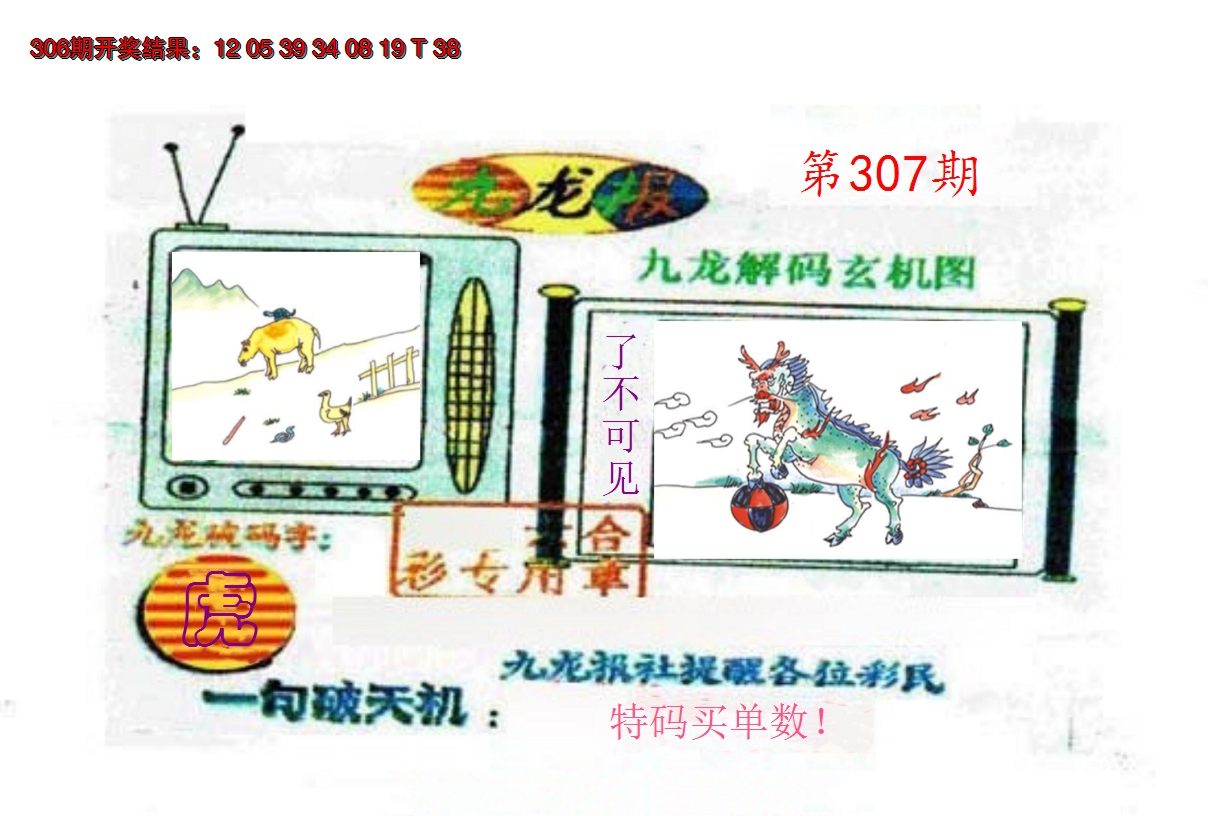 2024307期九龙报