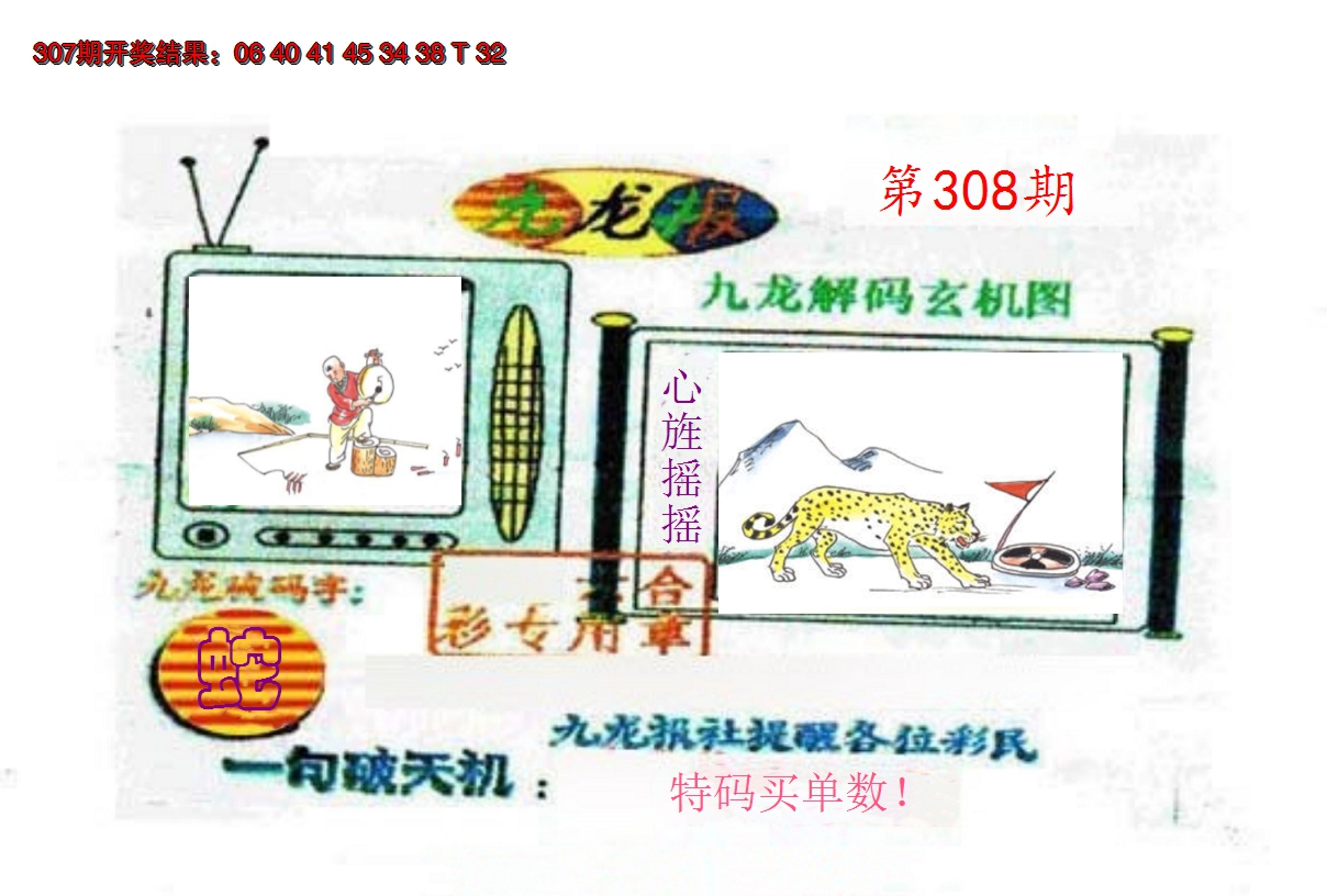 2024308期九龙报