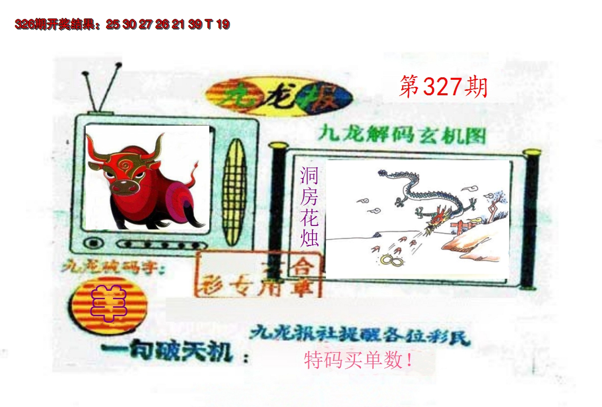 2024327期九龙报