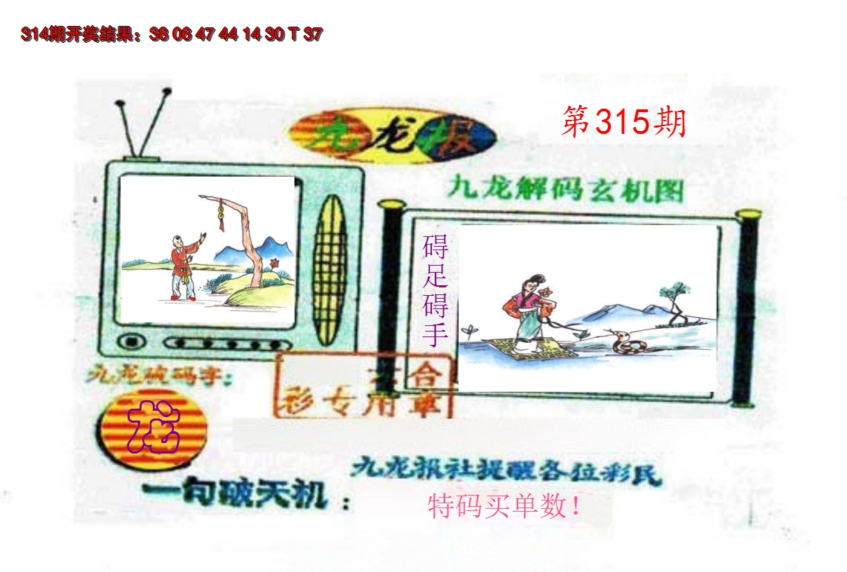2024315期九龙报