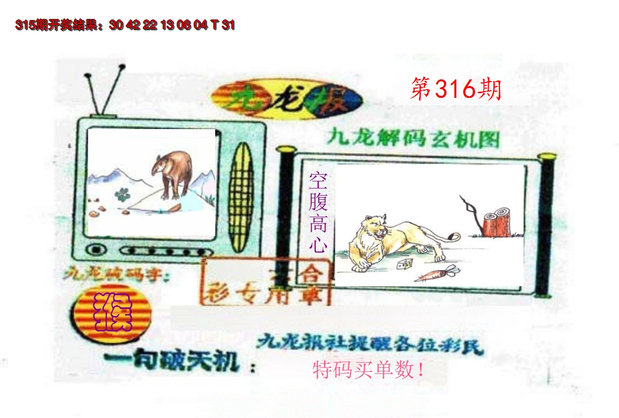 2024316期九龙报