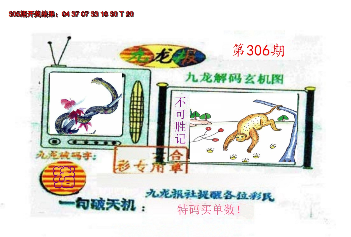2024306期九龙报