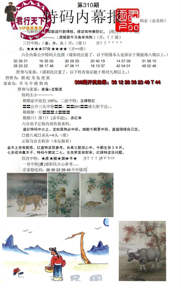 2024310期特码内幕报