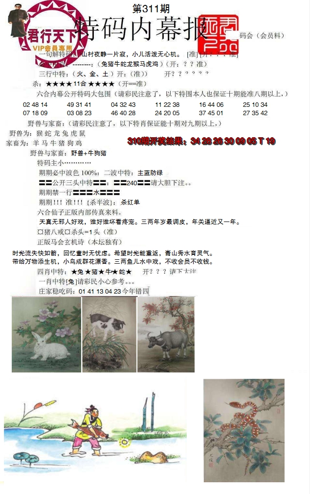 2024311期特码内幕报