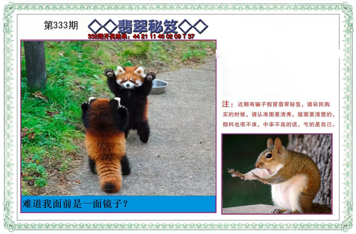 2024333期翡翠秘笈