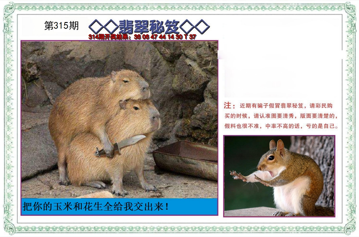 2024315期翡翠秘笈