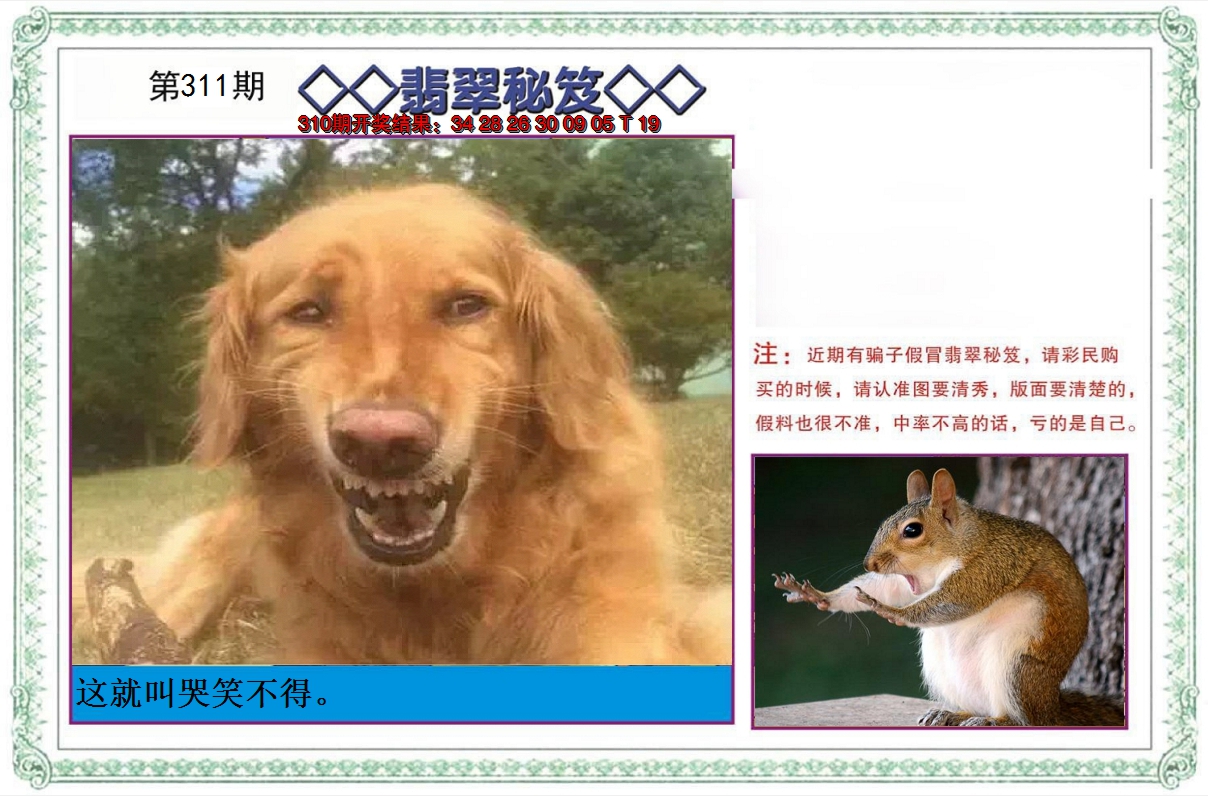 2024311期翡翠秘笈