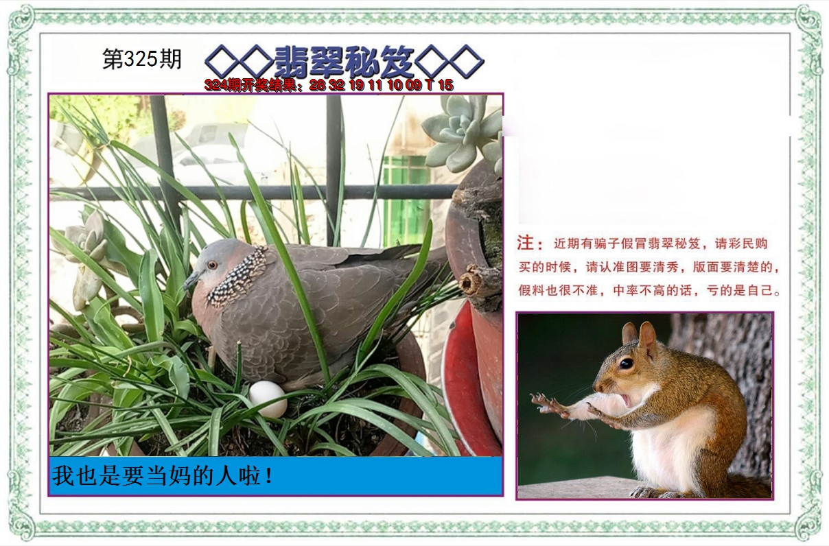 2024325期翡翠秘笈