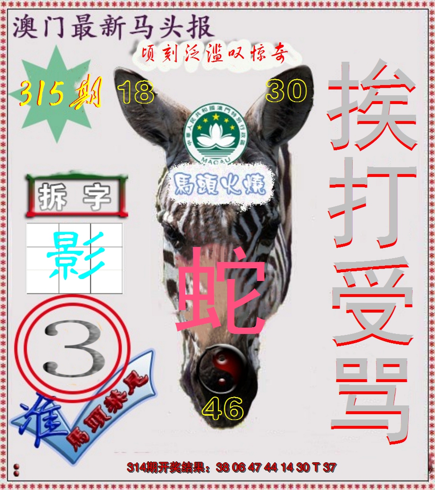 2024315期马头报
