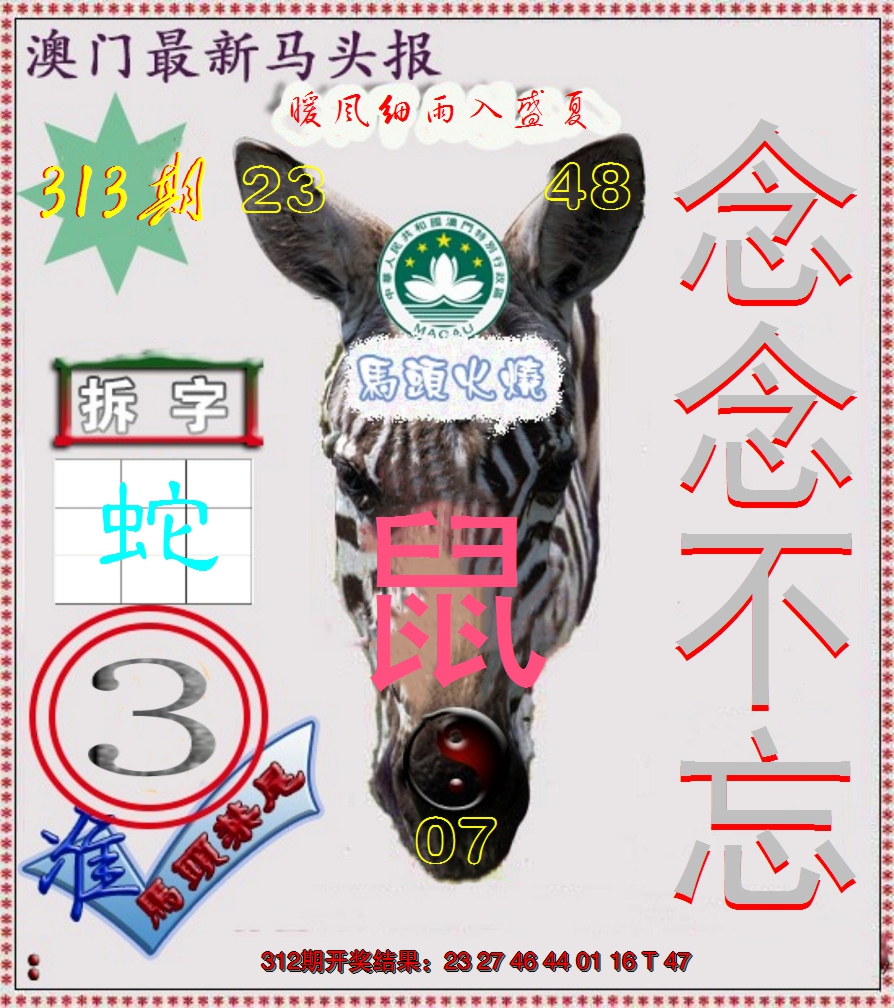 2024313期马头报