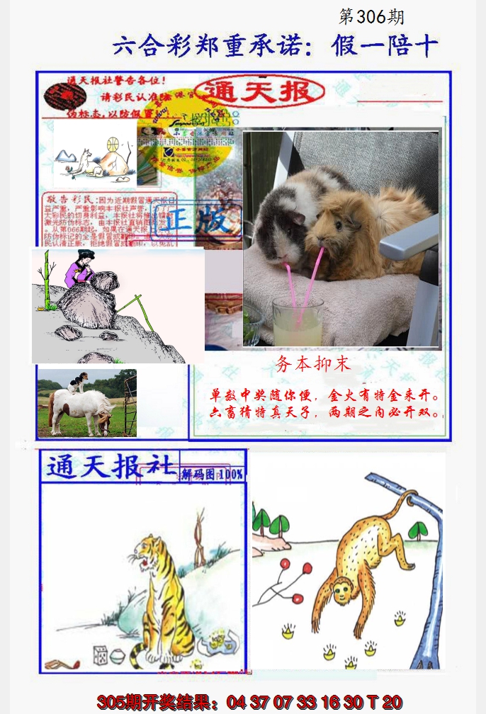 2024306期假一陪十通天报