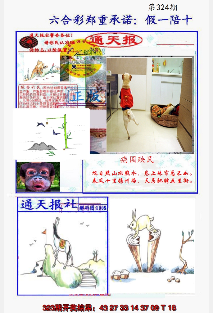2024324期假一陪十通天报