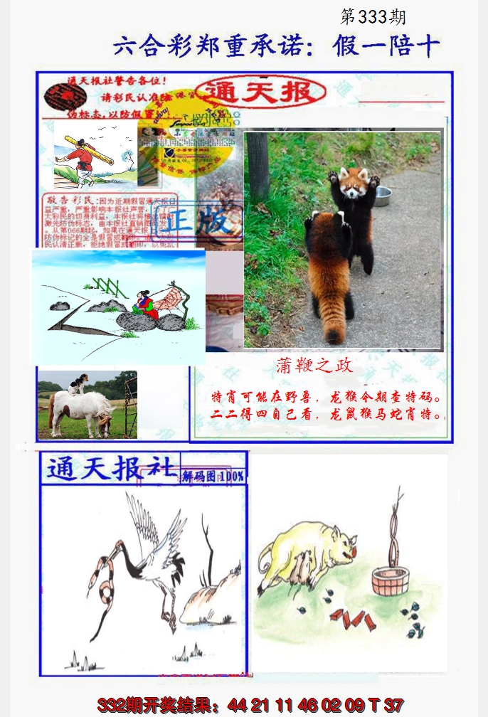 2024333期假一陪十通天报