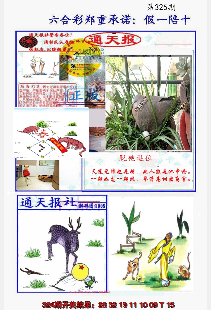 2024325期假一陪十通天报