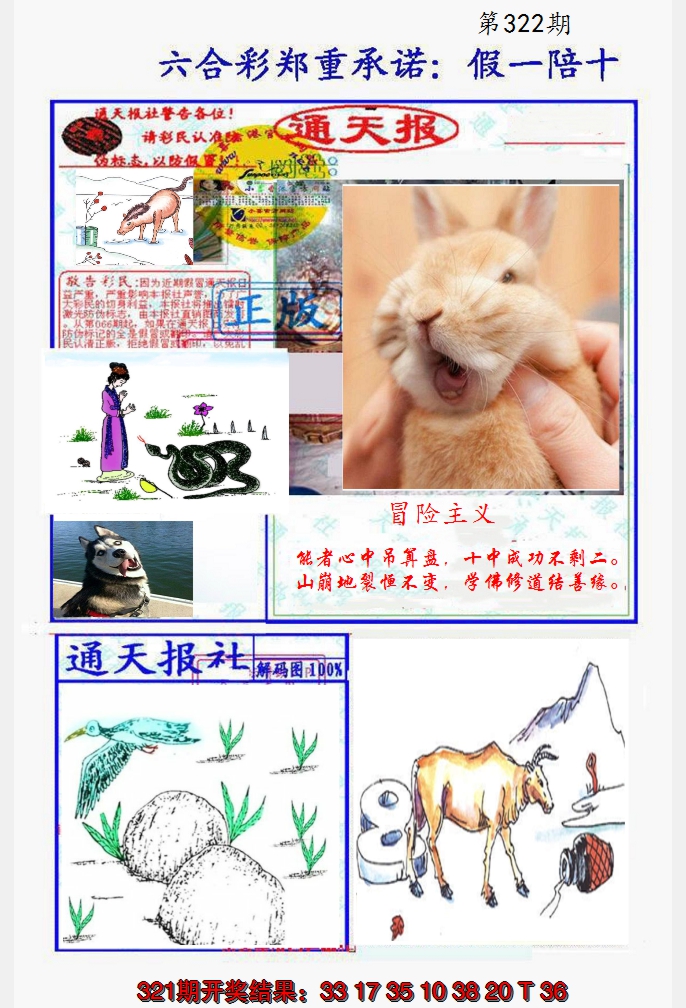 2024322期假一陪十通天报