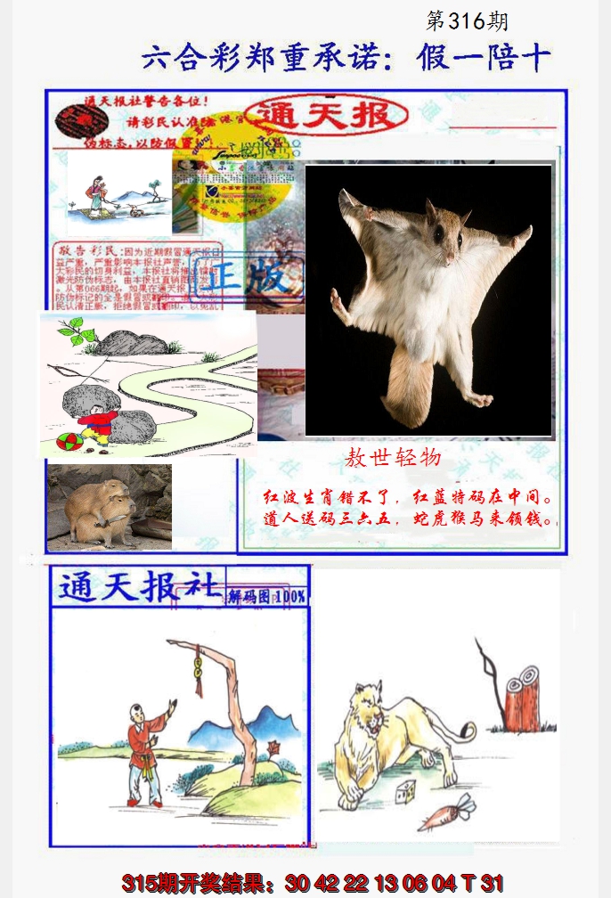 2024316期假一陪十通天报
