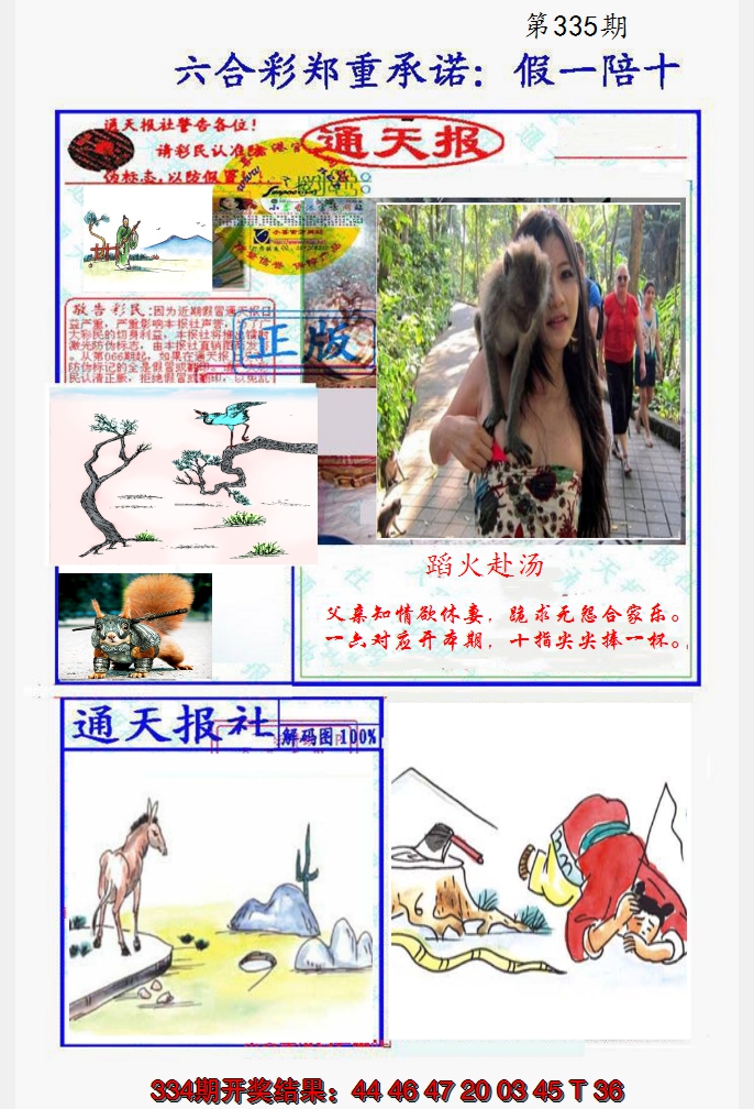 2024335期假一陪十通天报