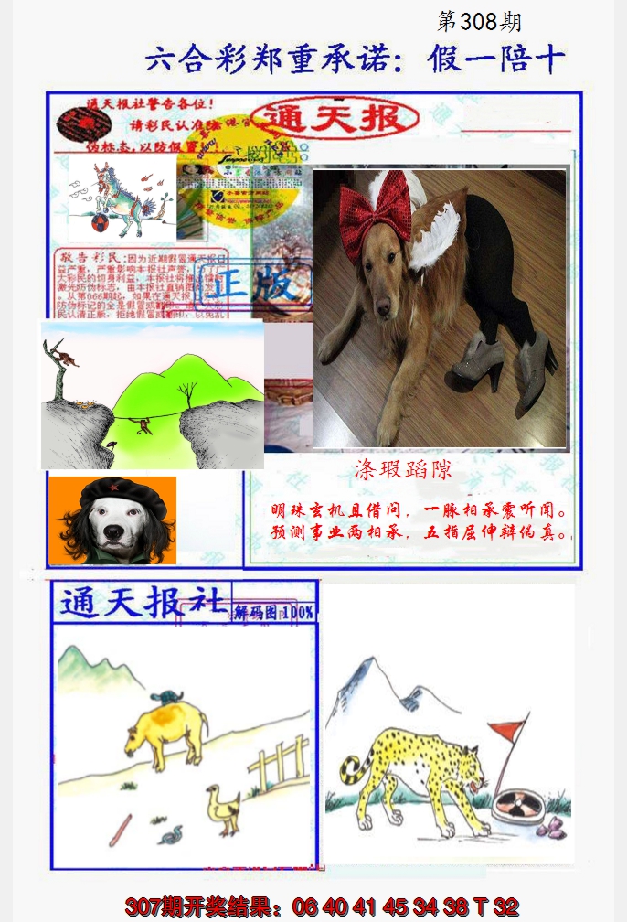 2024308期假一陪十通天报