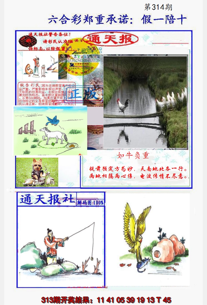2024314期假一陪十通天报